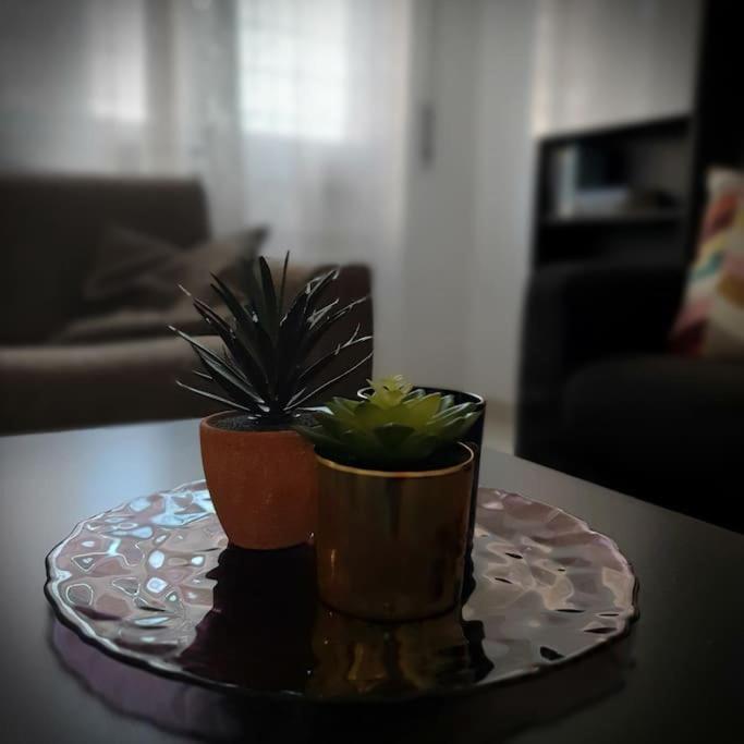 Casa Publicola Apartman Róma Kültér fotó